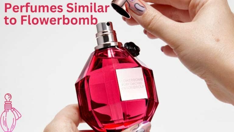 Perfumes Similar to Flowerbomb