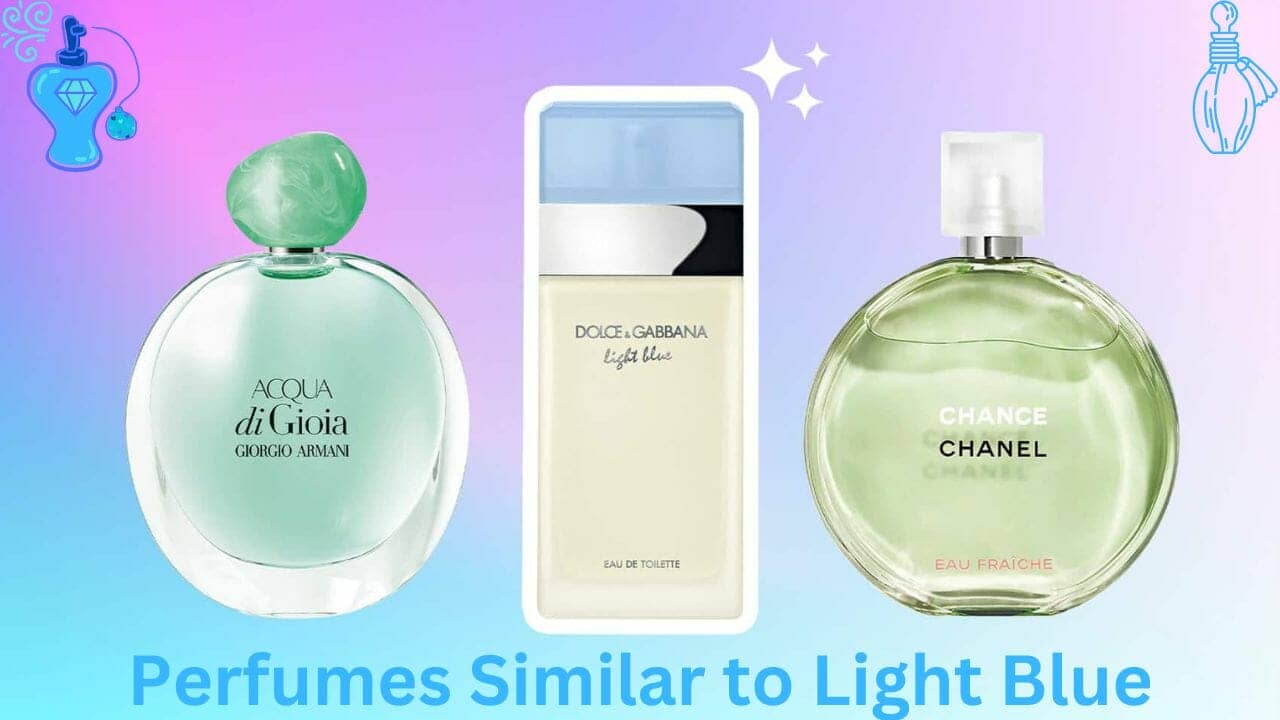 perfumes similar to Light Blue