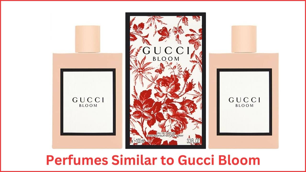 Perfumes Similar to Gucci Bloom