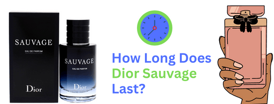 How Long Does Dior Sauvage Last